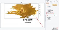 PPT里的图片怎么排版好看-ppt里的图片怎么排版好看一点