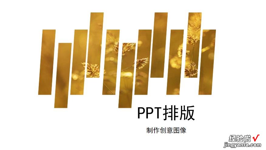 PPT里的图片怎么排版好看-ppt里的图片怎么排版好看一点