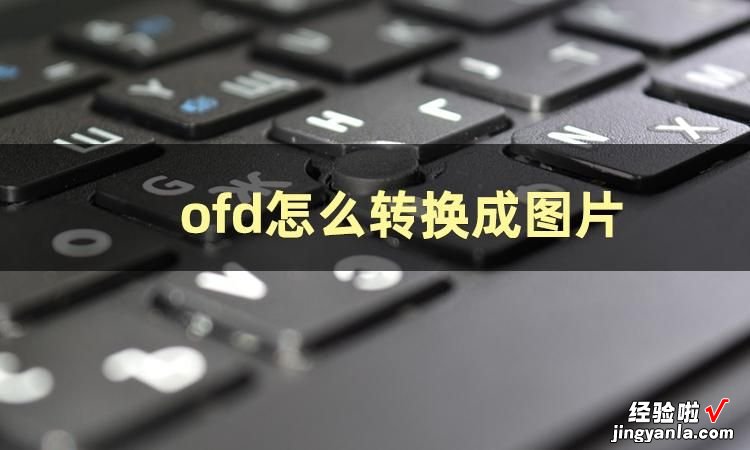 这几个ofd转换软件推荐给你-ofd格式转换器