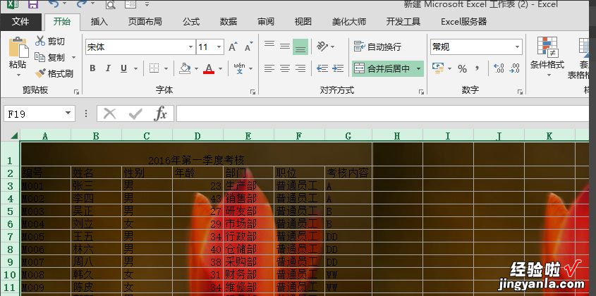 excel怎么对部分表格添加背景 如何给excel设置背景图片