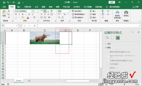 excel图片怎么设置嵌入式 excel怎么设置背景图片