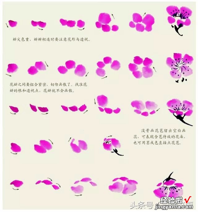 word文档梅花怎么花 梅花花朵画法