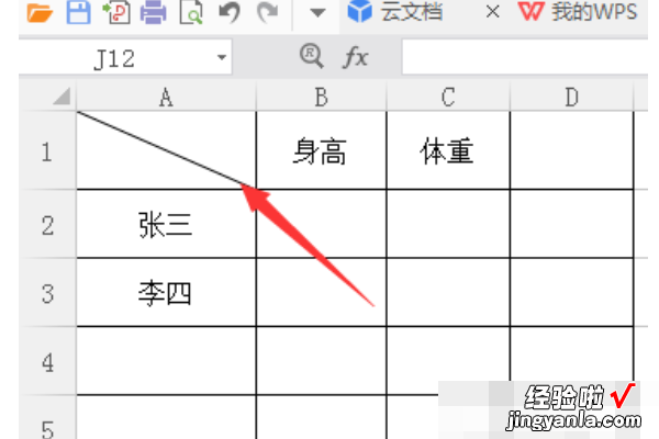 如何在excel中画斜线并输入文字 怎么在excel斜线中写字