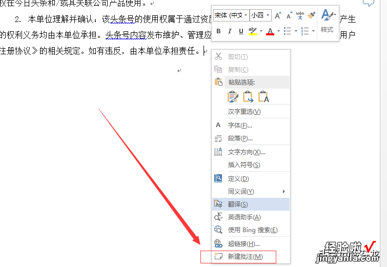 word怎么插入注释符号 教你word文档怎么插入批注