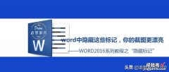 word标记表格怎么隐藏 word中隐藏这些标记