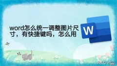 word图片怎么统一 word怎么统一调整图片尺寸