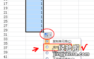 excel怎样在A1中输入1 如何在excel里的□方框内输入1数字