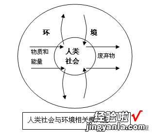 word怎么绘画图案 word画图技巧大全