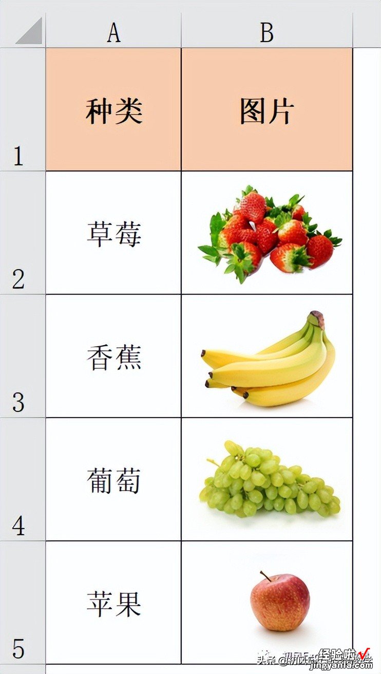 插入到工作表中的图片-如何添加图片到工作表里