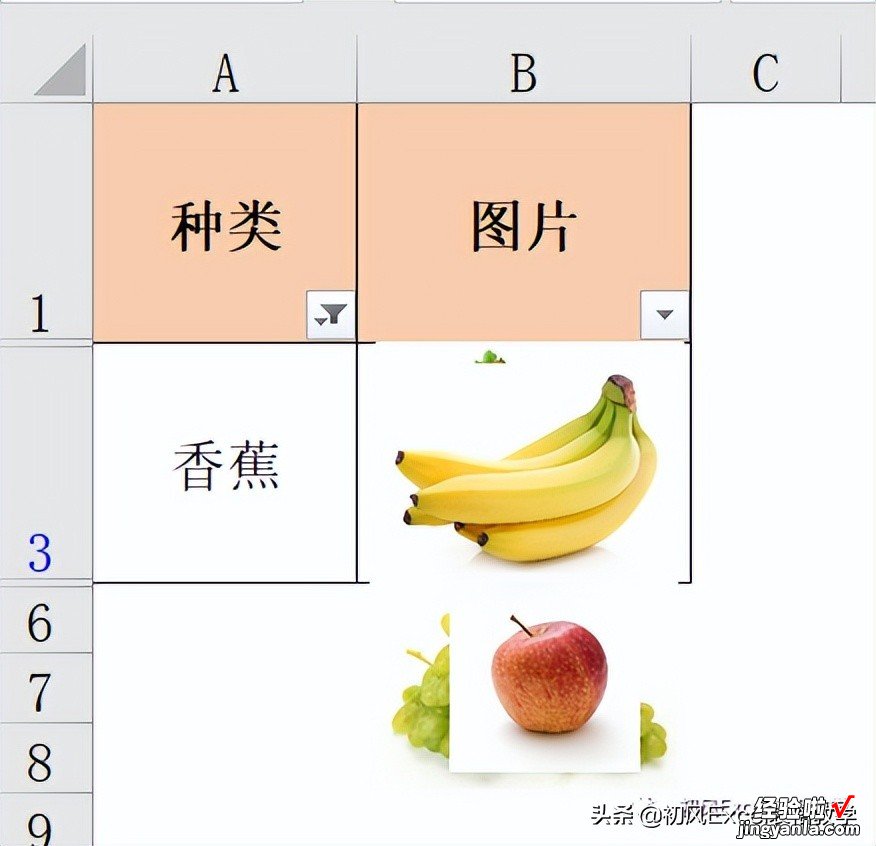 插入到工作表中的图片-如何添加图片到工作表里