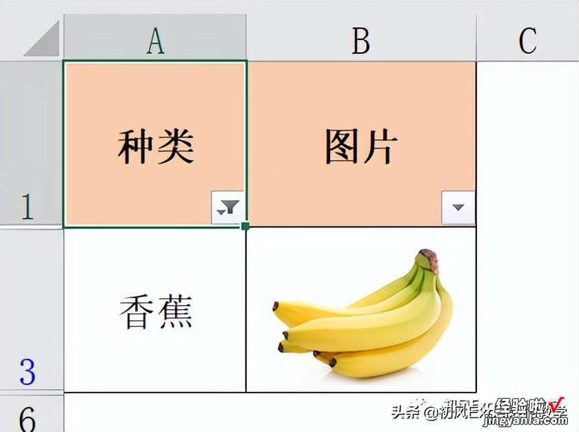 插入到工作表中的图片-如何添加图片到工作表里