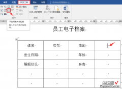 word怎么设置控件按钮 word表格控件设置技巧