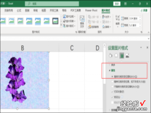 excel表格中图片怎么固定在单元格里 怎么把图片插到excel表格里