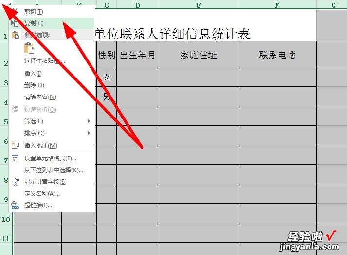 excel表格怎么整行复制数据 excel怎么把两行内容复制在一行上