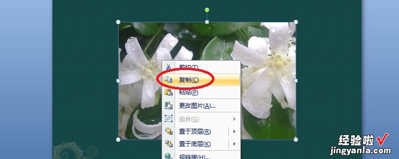 ppt文档怎么复制粘贴-ppt的内容如何整体复制