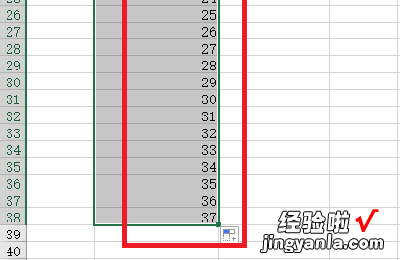 如何将表格序号按顺序往下拉 excel表格怎么让下拉填充序号