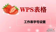 「wps表格」工作表字号设置