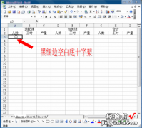 如何批量把excel录入网页 怎样在excel中快速批量录入