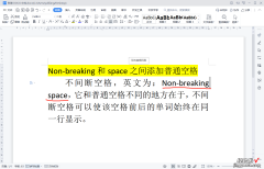 文档中的不间断空格有什么用-文档中的不间断空格有什么用途