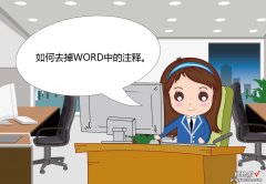 怎么删除word格式注解 如何去掉WORD中的注释