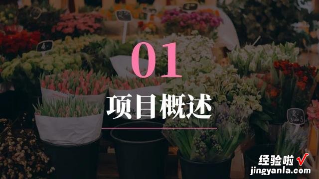 ppt的过渡页是什么-ppt页码怎么跳过过渡页