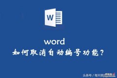 word怎么取消自动句号 如何取消word自动编号功能